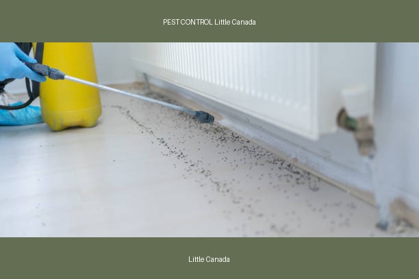 PEST CONTROL Little Canada